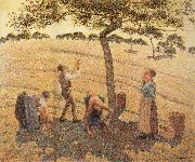 Camille Pissarro, Pick Apple